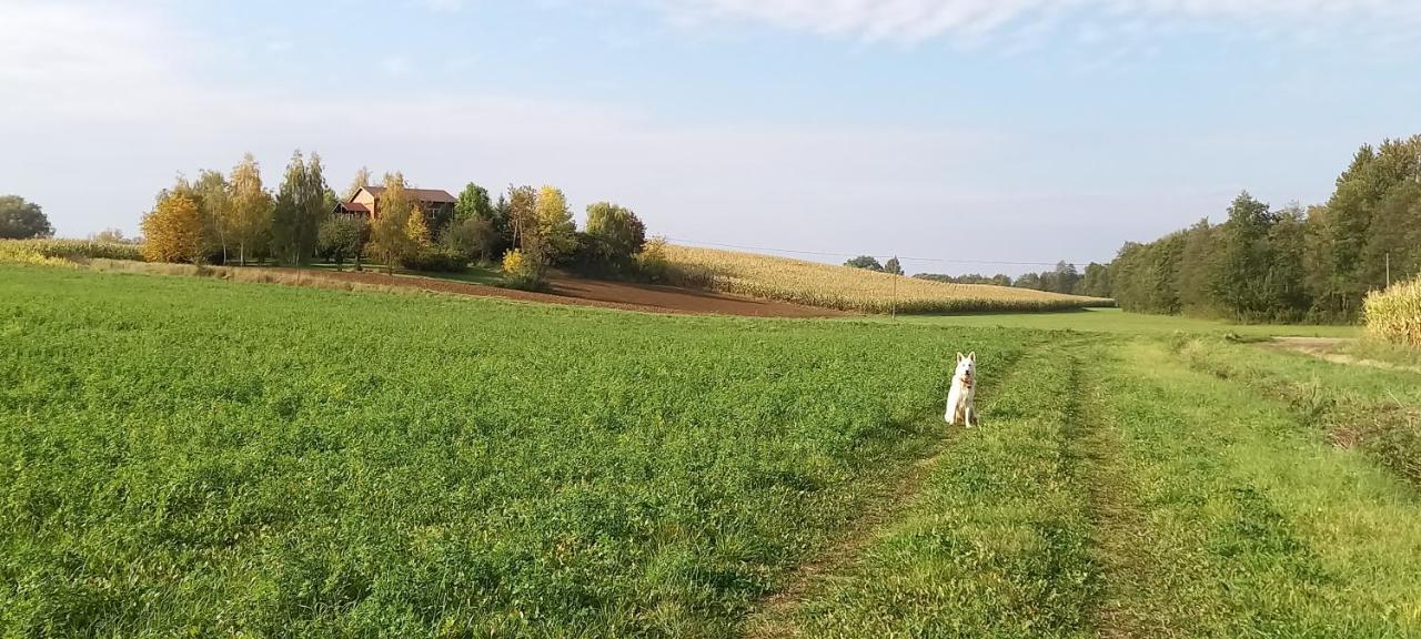 Dom Goscinny Lerka - 240 M2 Mazury Jeziora Lasy Lakorz Extérieur photo